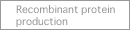 Recombinant protein production